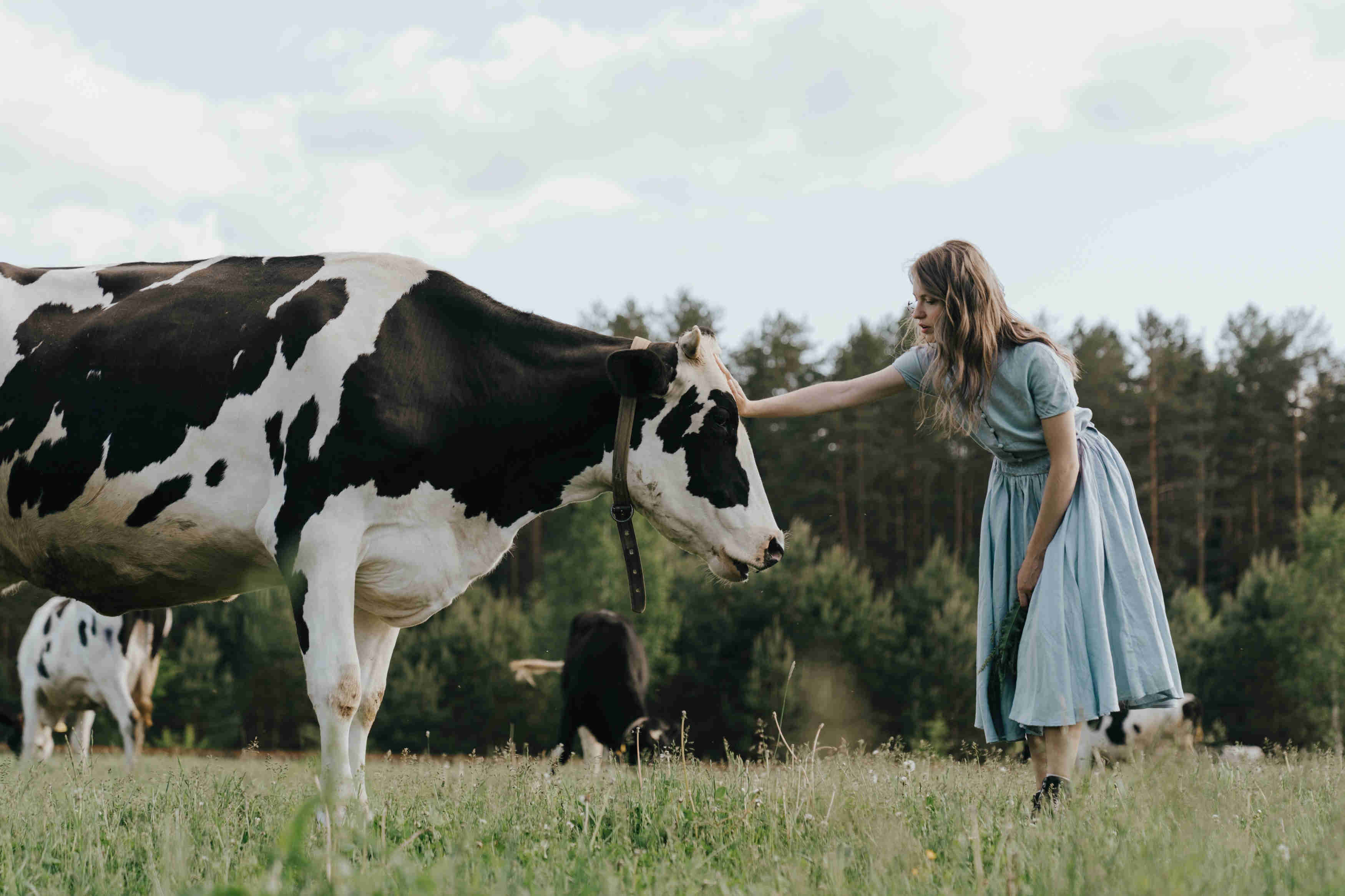 Weiblich gelesene Person streichelt Kuh auf grüner Wiese. Sie hält einen Blumenstrauß in der Hand. Im Hintergrund weiden weitere Kühe.