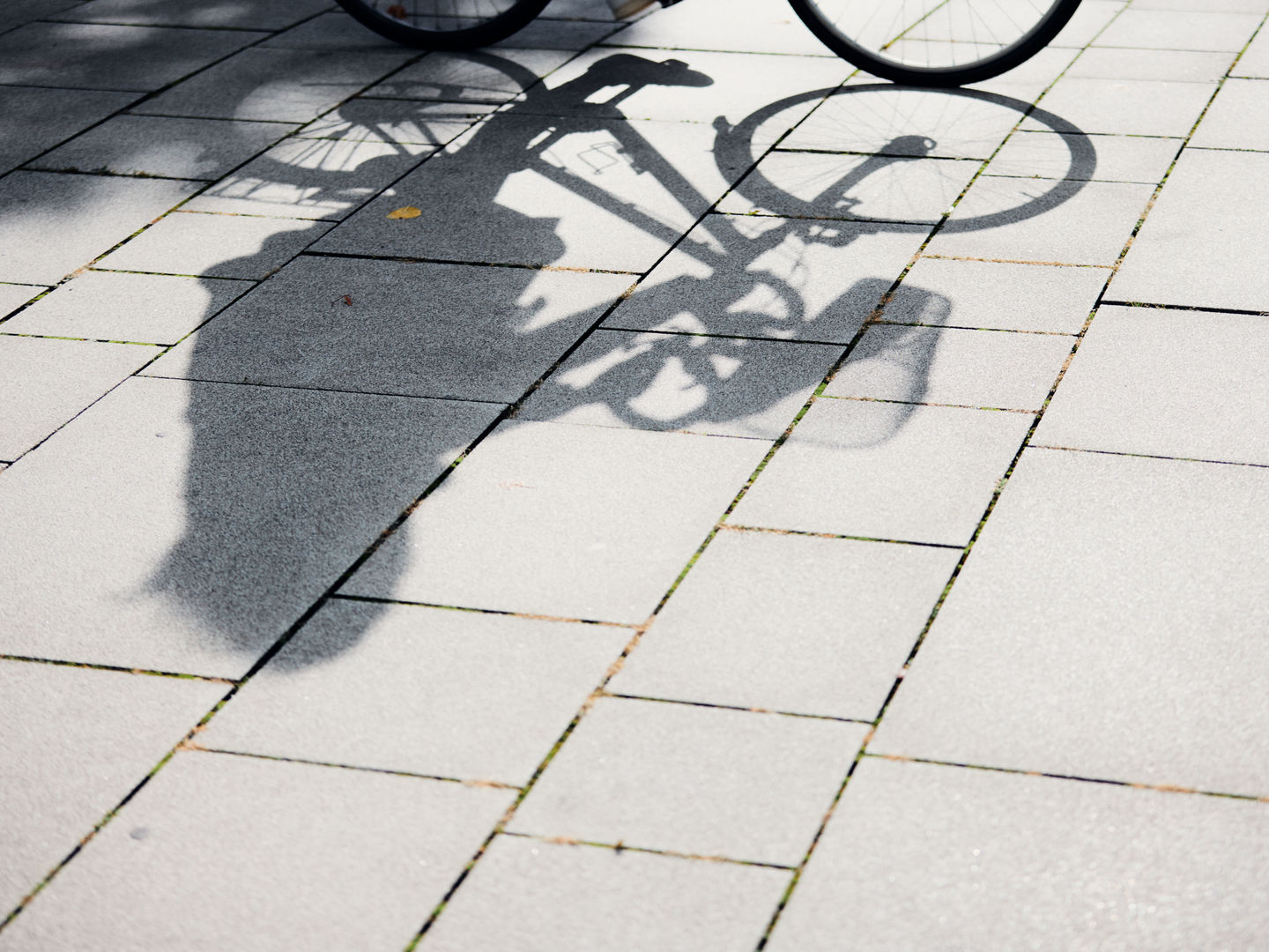 Bicycle shadow