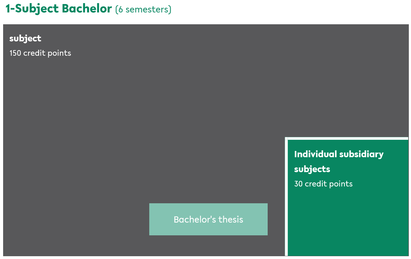 
















 1-Subject Bachelor
