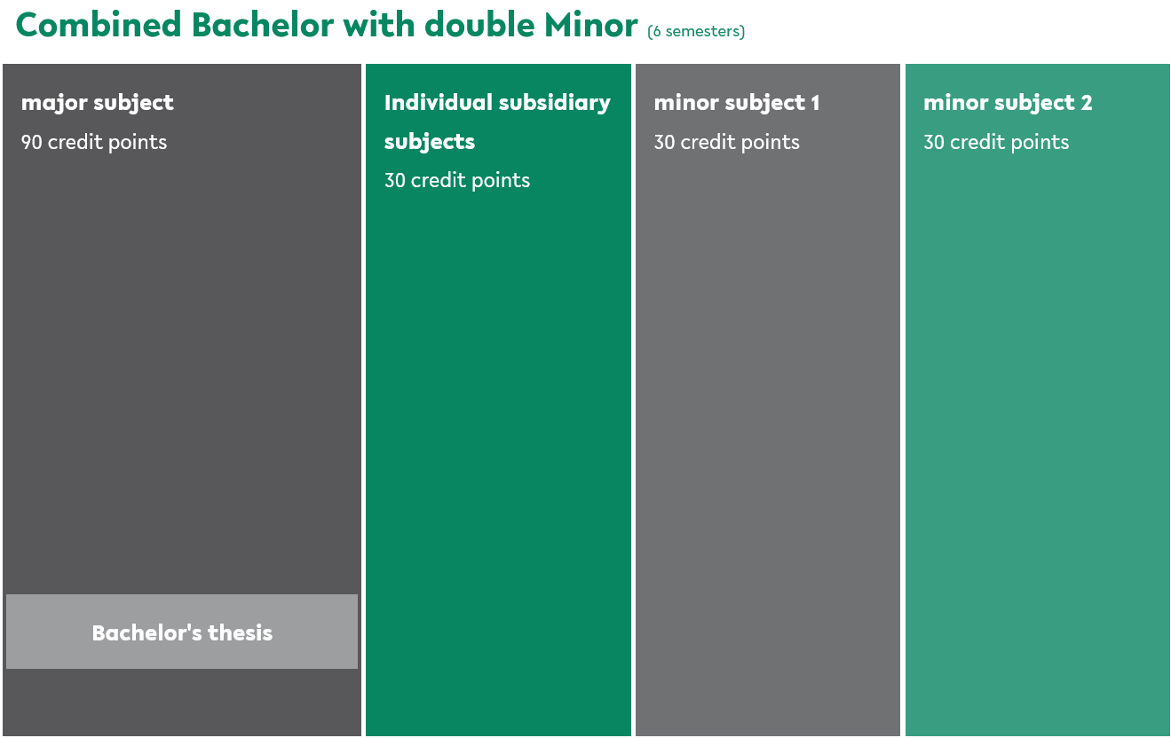 Combined Bachelor's Degree with Two Minor Subjects