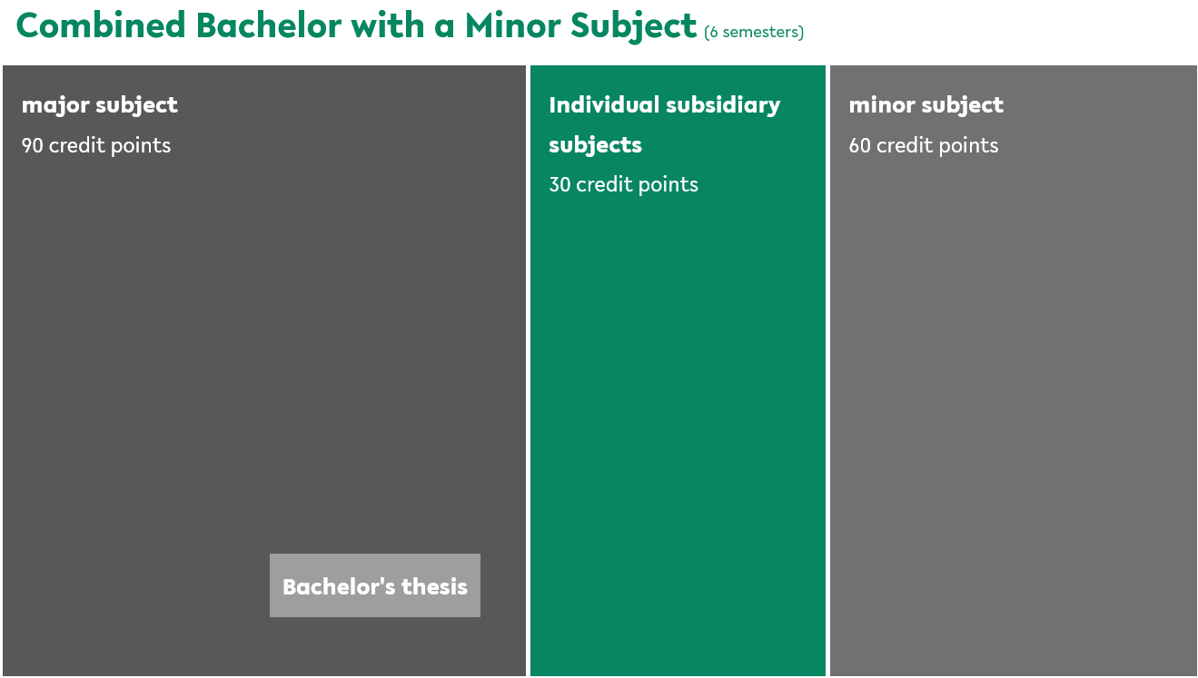 Combined Bachelor's Degree with One Minor Subject