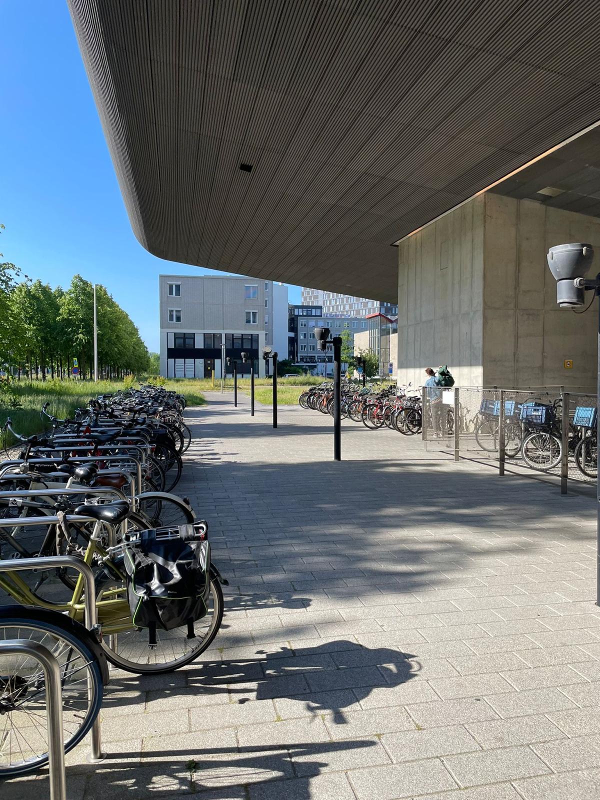 Partially covered bicycle racks on campus