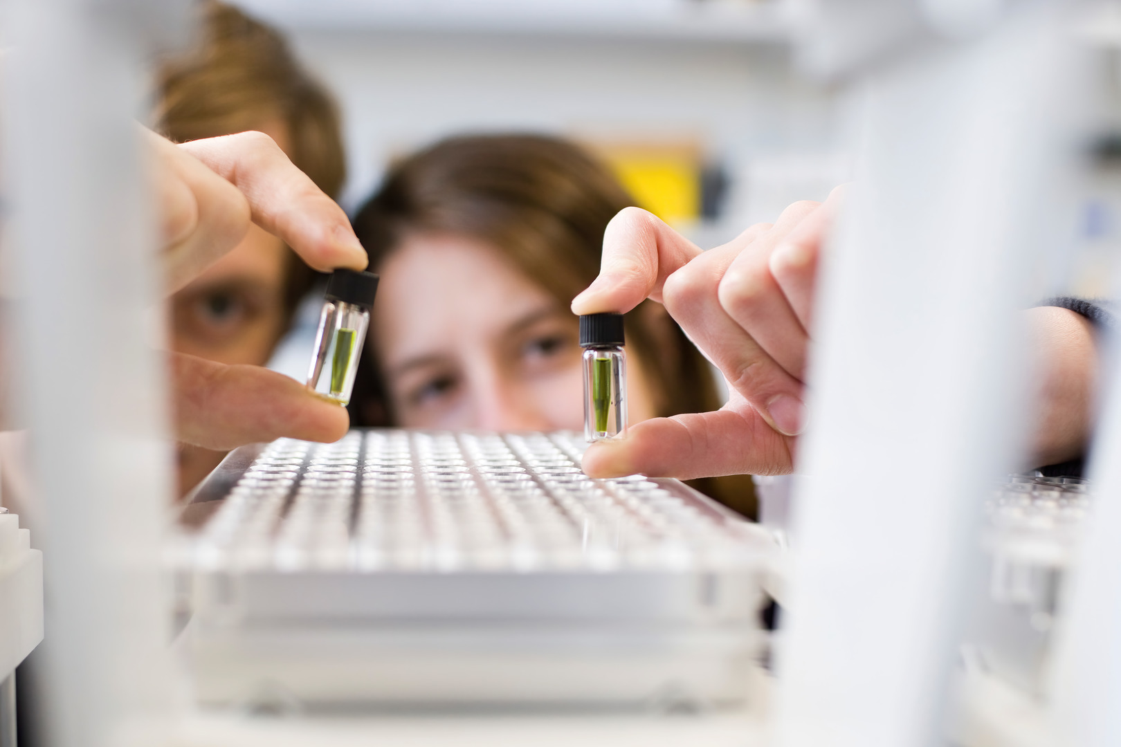 Zwei Personen blicken im Labor auf kleine Ampullen in ihren Hnden. 