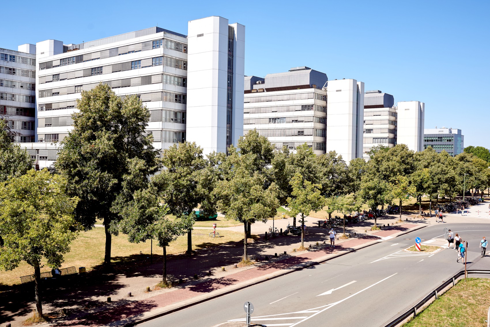 Campus und Bäume