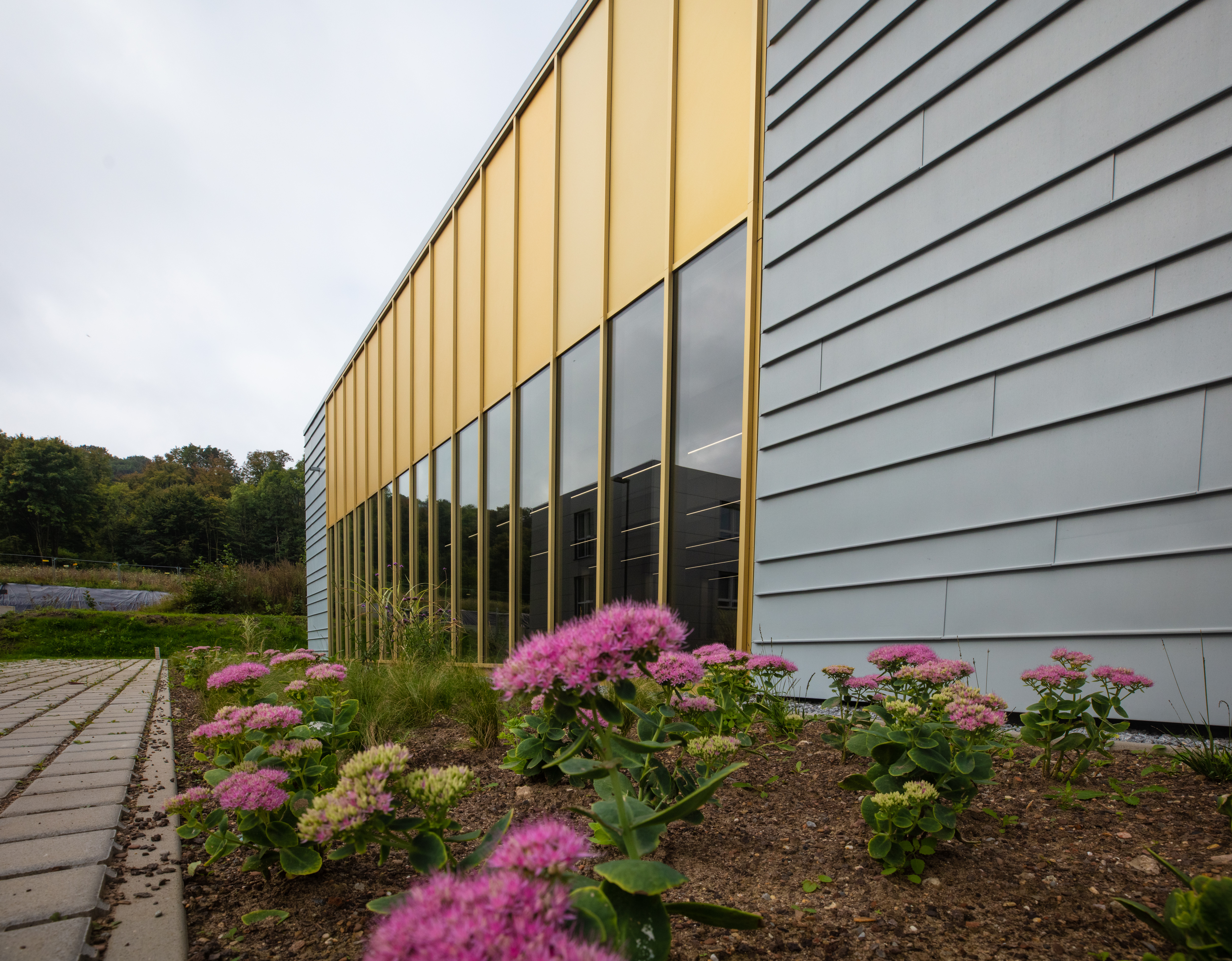 Lecture Hall Building Y