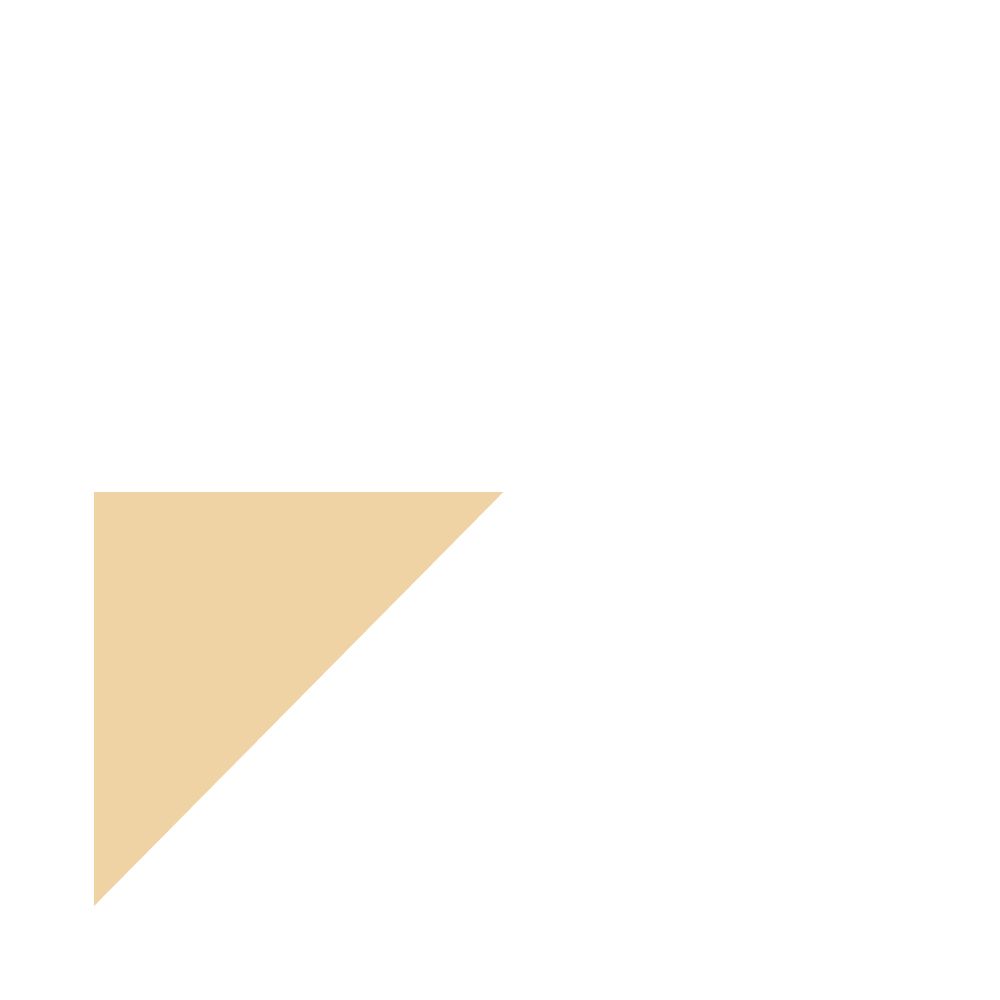 yellow triangle