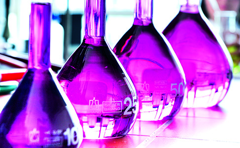 Violette Flüssigkeit in Kolben im Chemielabor
