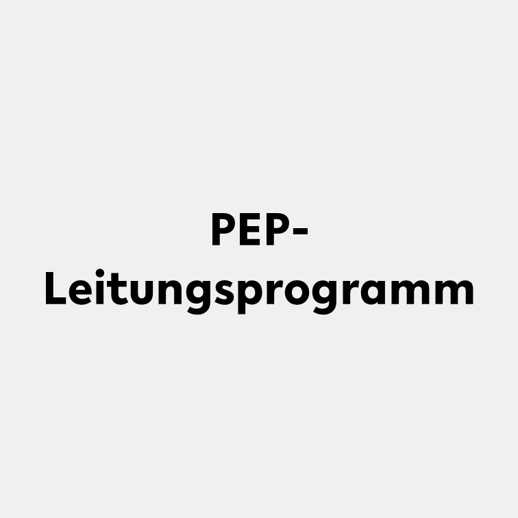 PEP Leitungsprogramm